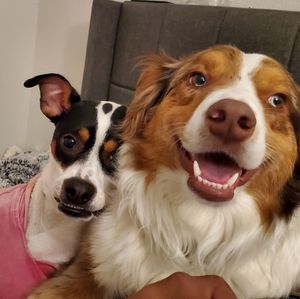 Meet your Posher, Diva